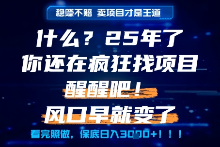 什么？25年你还在疯狂找项目做，醒醒吧，看完这些你全都懂了！【揭秘】-一起发