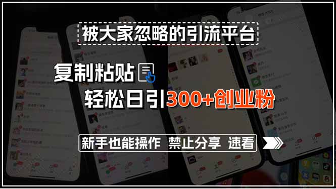 （15428期）被大家忽略的引流平台，复制粘贴轻松日引300+创业粉，新手也能操作，禁…-一起发