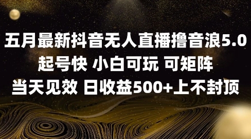 2025五月最新无人直播撸音浪单日产出5张+实操教程【揭秘】-一起发