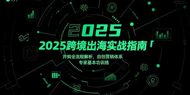 （15503期）2025跨境出海实战指南，并购全流程解析，自创营销体系，专家基本功训练-一起发