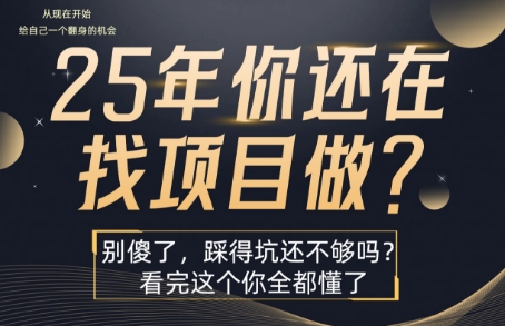 25年,你还在疯狂的找项目吗?别傻了,看完这个你都懂了【揭秘】-一起发