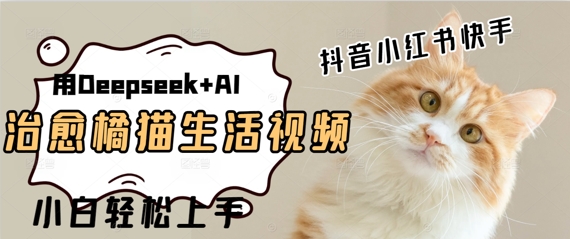疯狂火爆，用Deepseek+AI做治愈橘猫系列视频，小白轻松制作+快速拿到结果-一起发