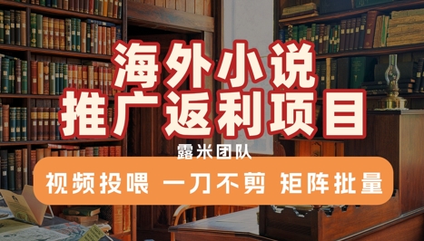 海外小说推广返利项目,视频投喂, 一刀不剪,矩阵批量-一起发