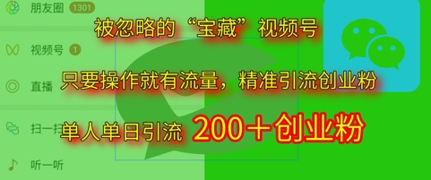 被忽略的“宝藏”视频号引流精准创业粉单人单日引流200+精准粉-一起发