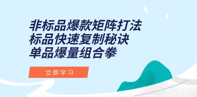 （15068期）非标品爆款矩阵打法，标品快速复制秘诀，单品爆量组合拳-一起发