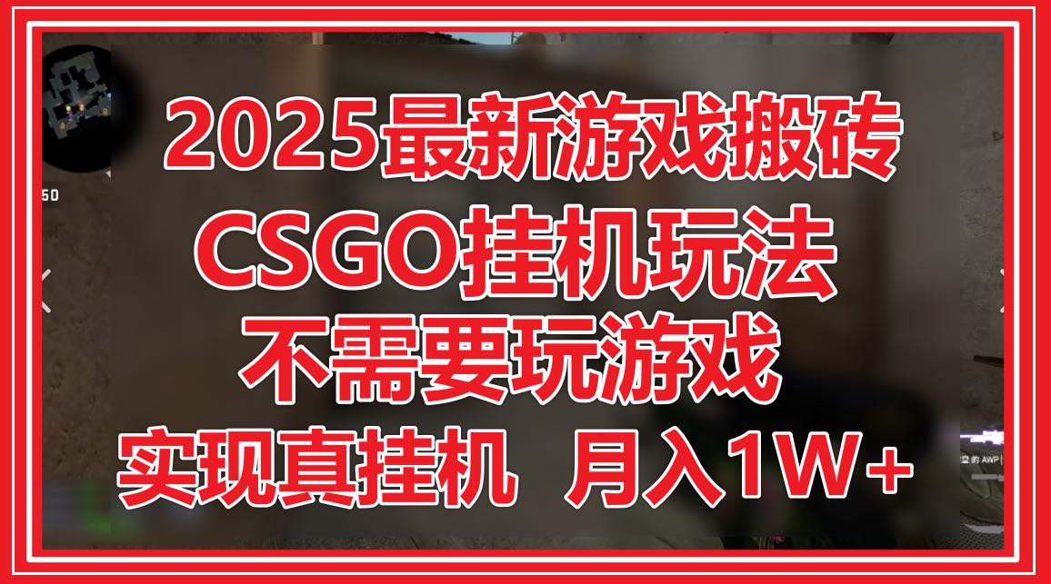 （14743期）2025最新游戏搬砖，CSGO挂机，不需要玩游戏，实现真挂机，月入1W+-一起发